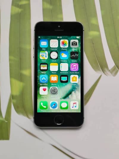 iPhone 5s PTA Approved 64GB Jo Colour Chahye Mill Jaega ‎ ‎