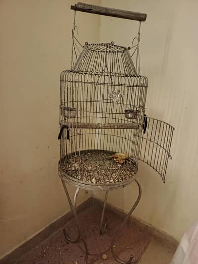 Raw pair parrots cage ( Bilal Ahmed )