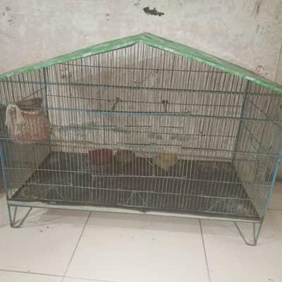 cage pinjra