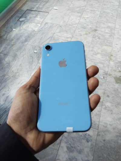 xr non pta whatsapp 03280310000