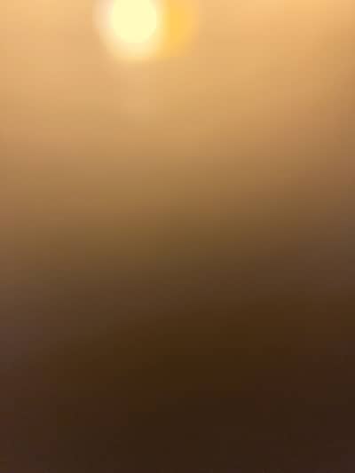 Delivery Rider Required DHA