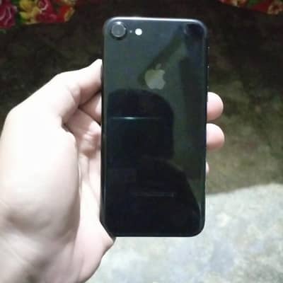 iphone 7 ( pta approved)