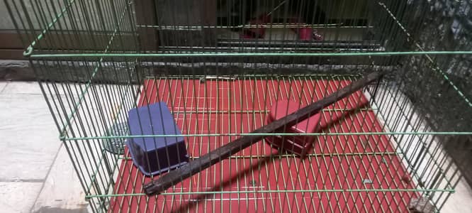 bird or hen cage