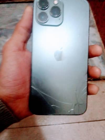 13 promax 03277179007