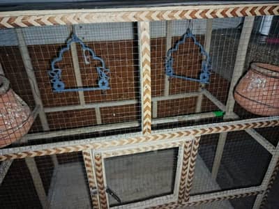 best cage for parrot