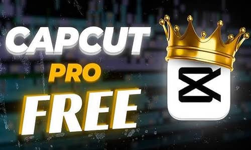 CAPCUT PRO AVAILABLE CHECK PIN NUMBER IN DESCRIPTION