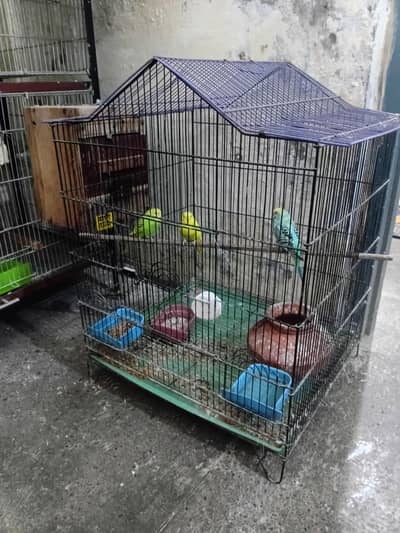 cage for birds