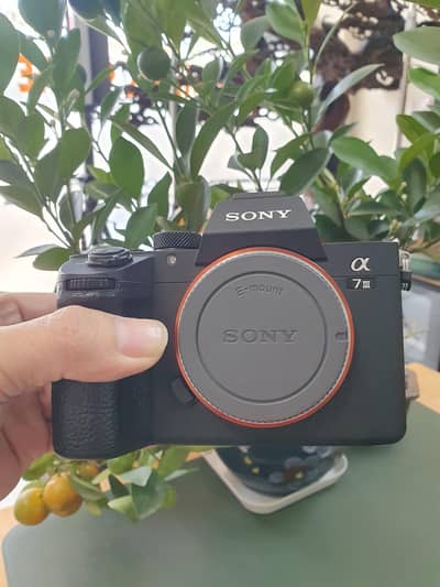 sony a73