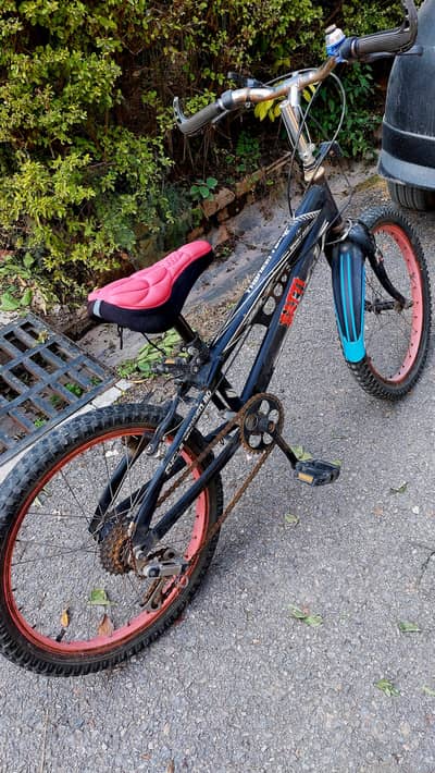 20 inch imported cycle