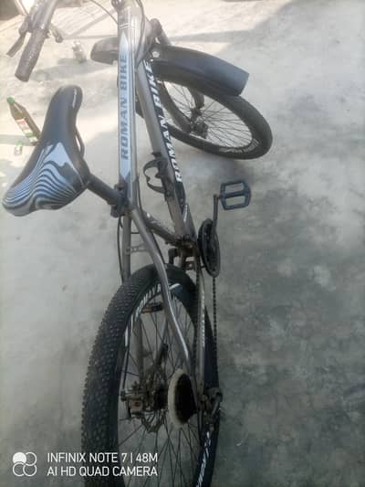 Roman Bicycle