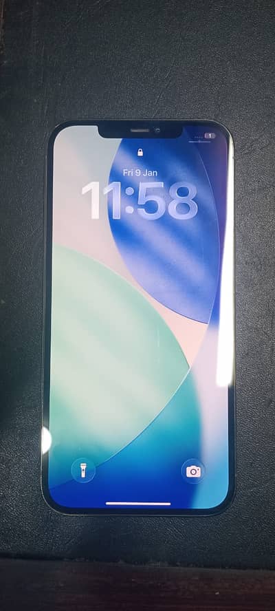 Apple iPhone 12 Pro Max