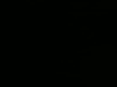 Female trainer, Receptionist