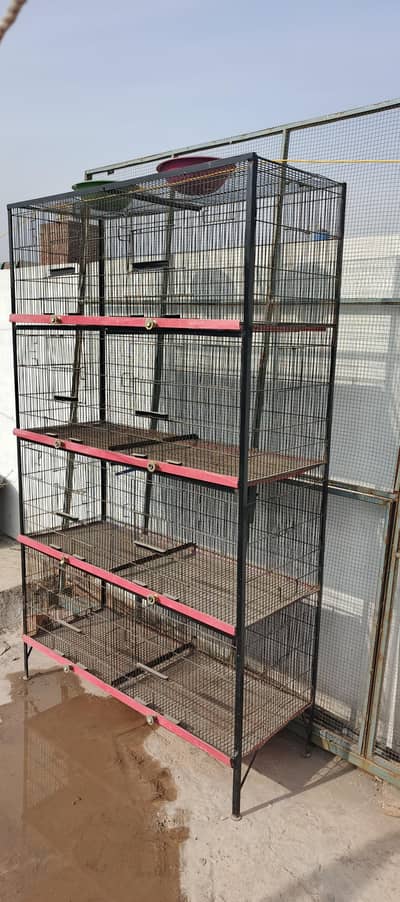 Birds cage