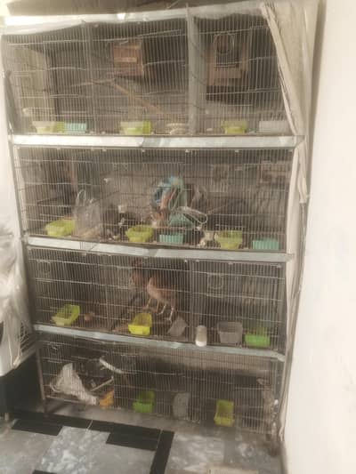 12 portion cage 03335303785