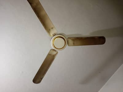 Royal Ceiling Fan