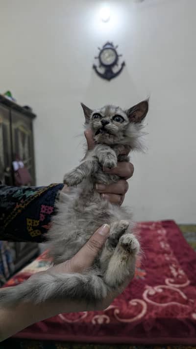 face to face deal possible