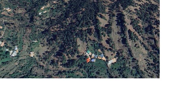 24 Kanal Land With House