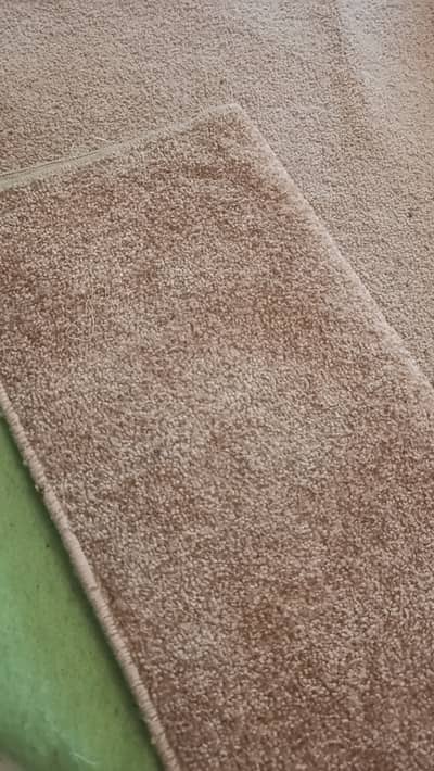 Carpet and runner
