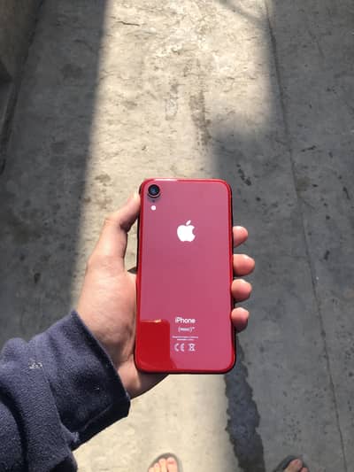 iPhone XR