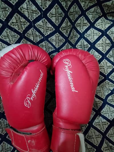 Brand new quality boxing gloves