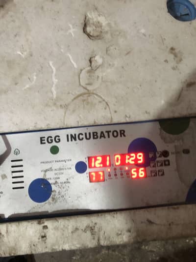 Fully automatic 160 eggs incubator imported