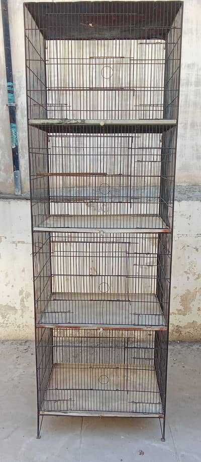 parrot cage