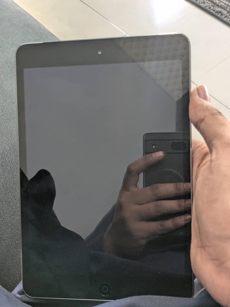 Ipad mini 2 0