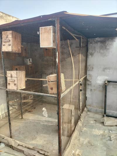 Big size cages Hy for sela size 6feet lamba 6feet chora h