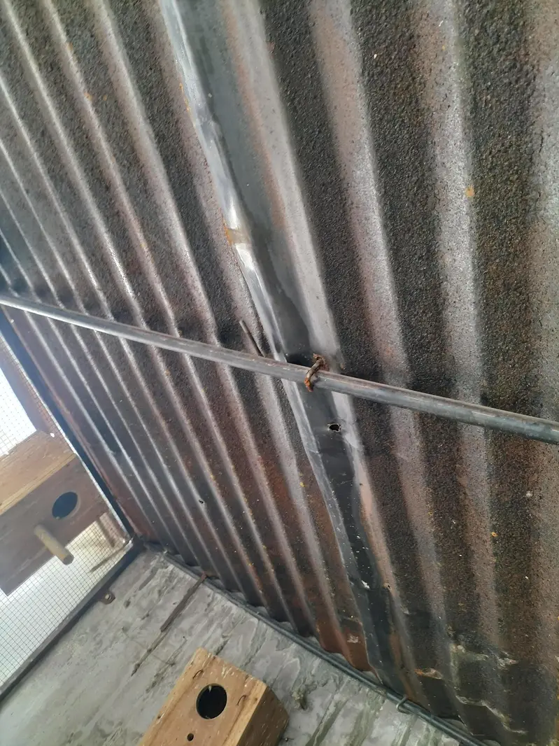 Big size cages Hy for sela size 6feet lamba 6feet chora h — photo 4