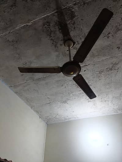 13 پنکھے چالو حالت میں