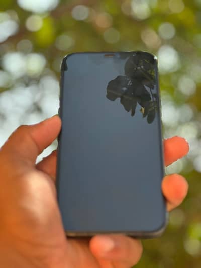 12 pro max non pta 128 not water pack all original 75 battery health