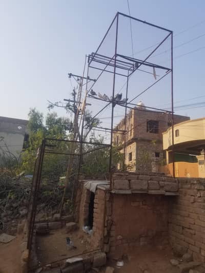 urgent sale jas bahe ko chaye WhatsApp pr rabtha kary /03425010893/