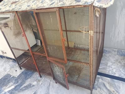 parrots cage for sale