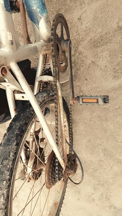 cycle for boys   age 9-11