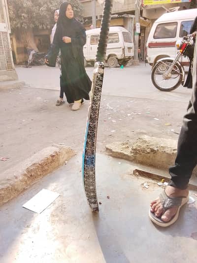 tap ball bat coconut original