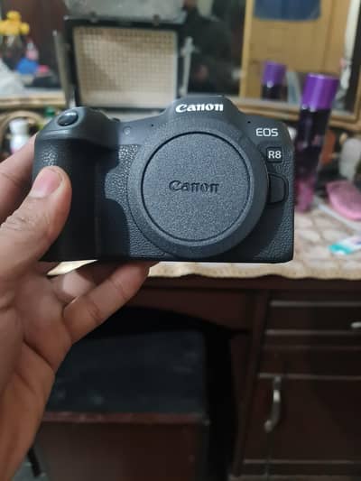 canon eos R8 body and 24-105mm ls stm lens