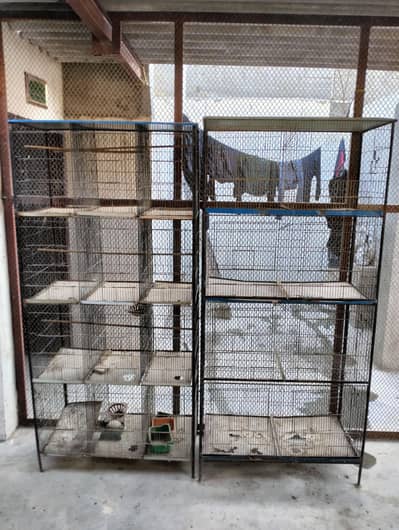 2 cages available 8 portion and 12 portion