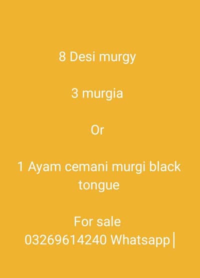 jis NY lainy hai wo rabta kry