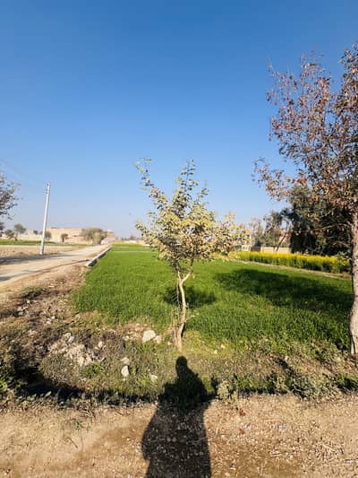 Plot for urgent sales