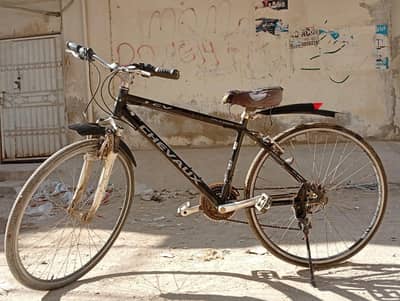 Original Japanese Chevaux Velo Mode | Imported Hybrid Machine