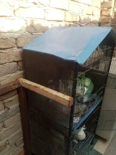 URGENT 2 BOX CAGES