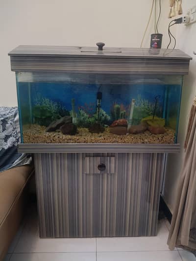 Fish Aquarium for sale