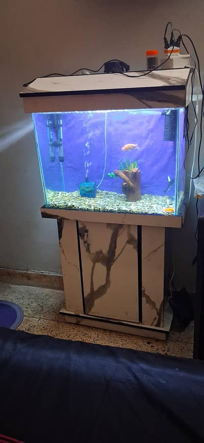 Newly Aqurium setup for sale 10 of 10 condition