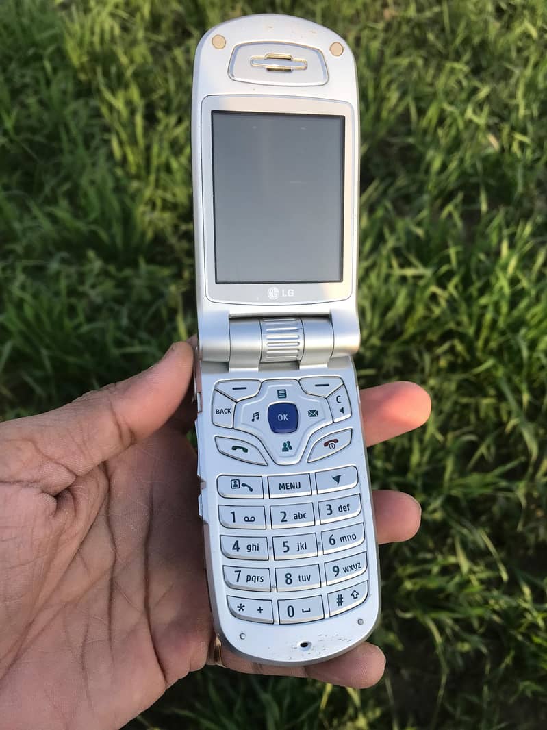 LG folding 3