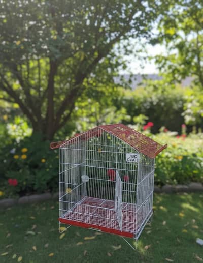 parrots cage