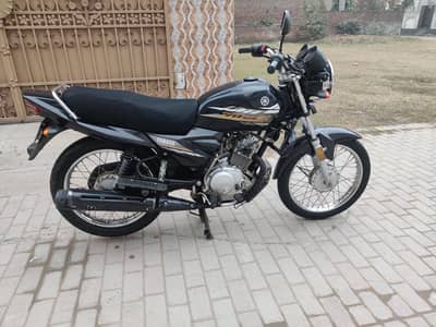 Yamaha YBZ 2020 Model New condition