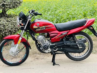 YbZ 21/22 Model 03205850420wahtsall