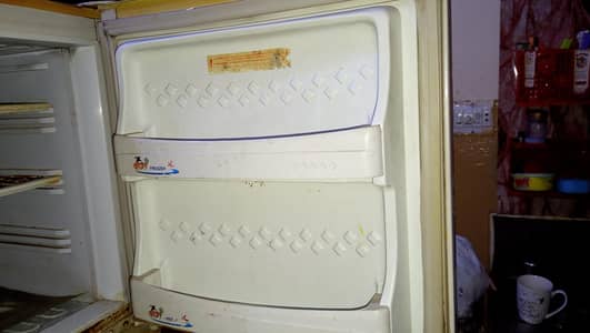 Pel fridge medium size