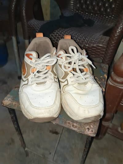 hard ball bat or tape ball bat or joger shoes for sale urgent