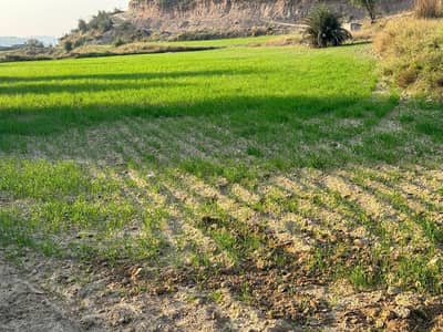 1300 kanal agricultural land for sale in  balksar chakwal